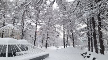 Зимний сквер в снегу