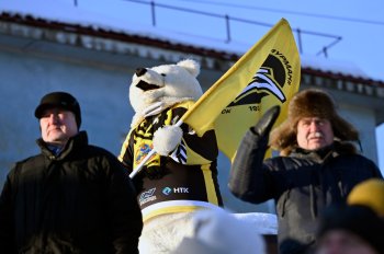 Белый медведь — символ команды «Мурман» по хоккею с мячом