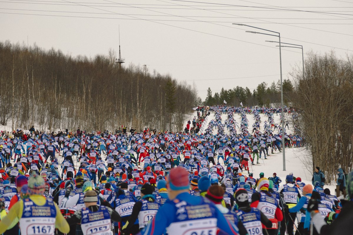 Лыжники на Мурманском лыжном марафоне