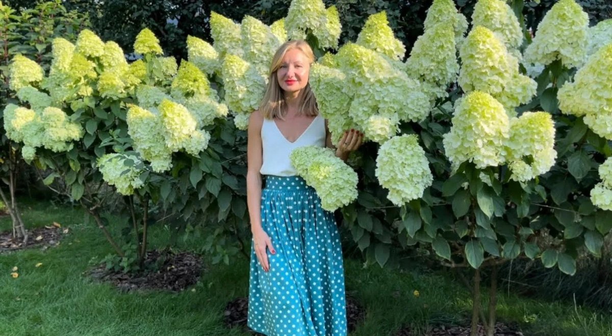 девушка на фоне гортензий