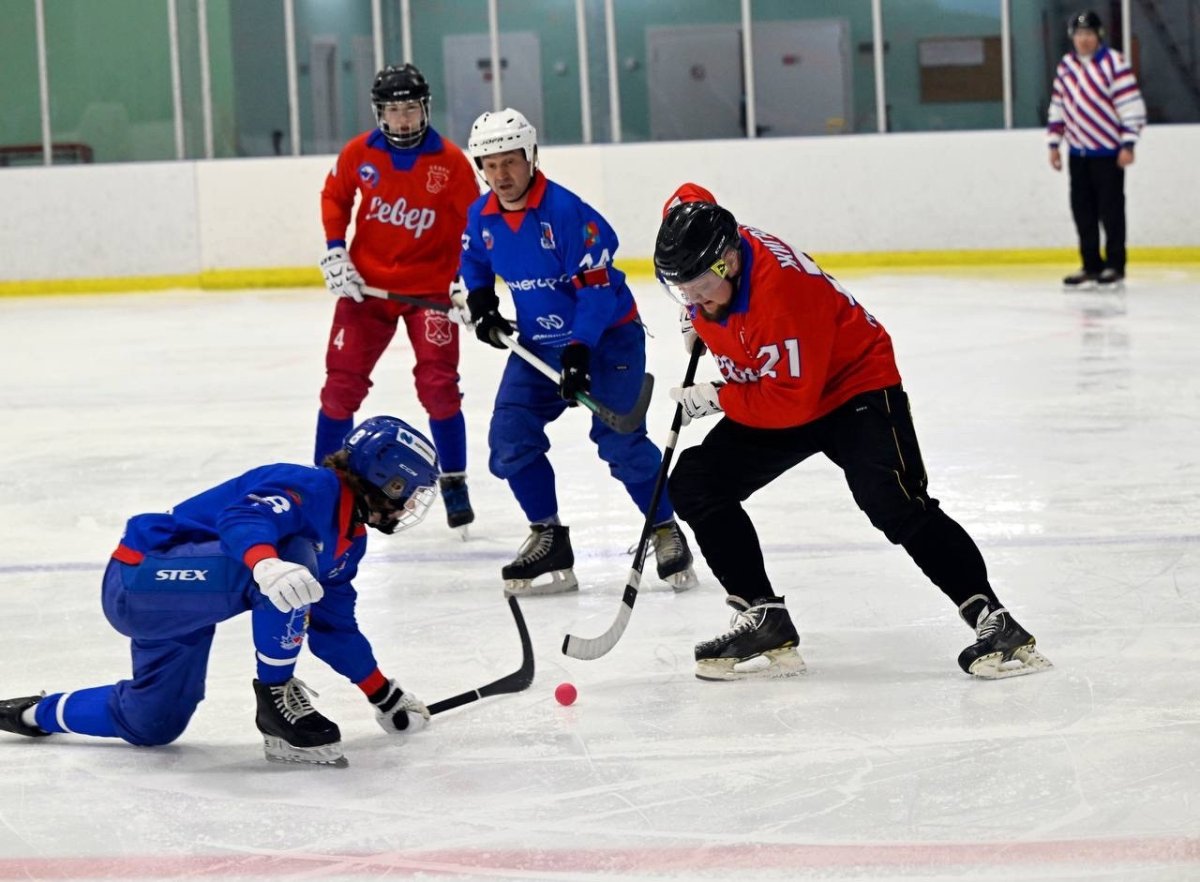 Мини-хоккей