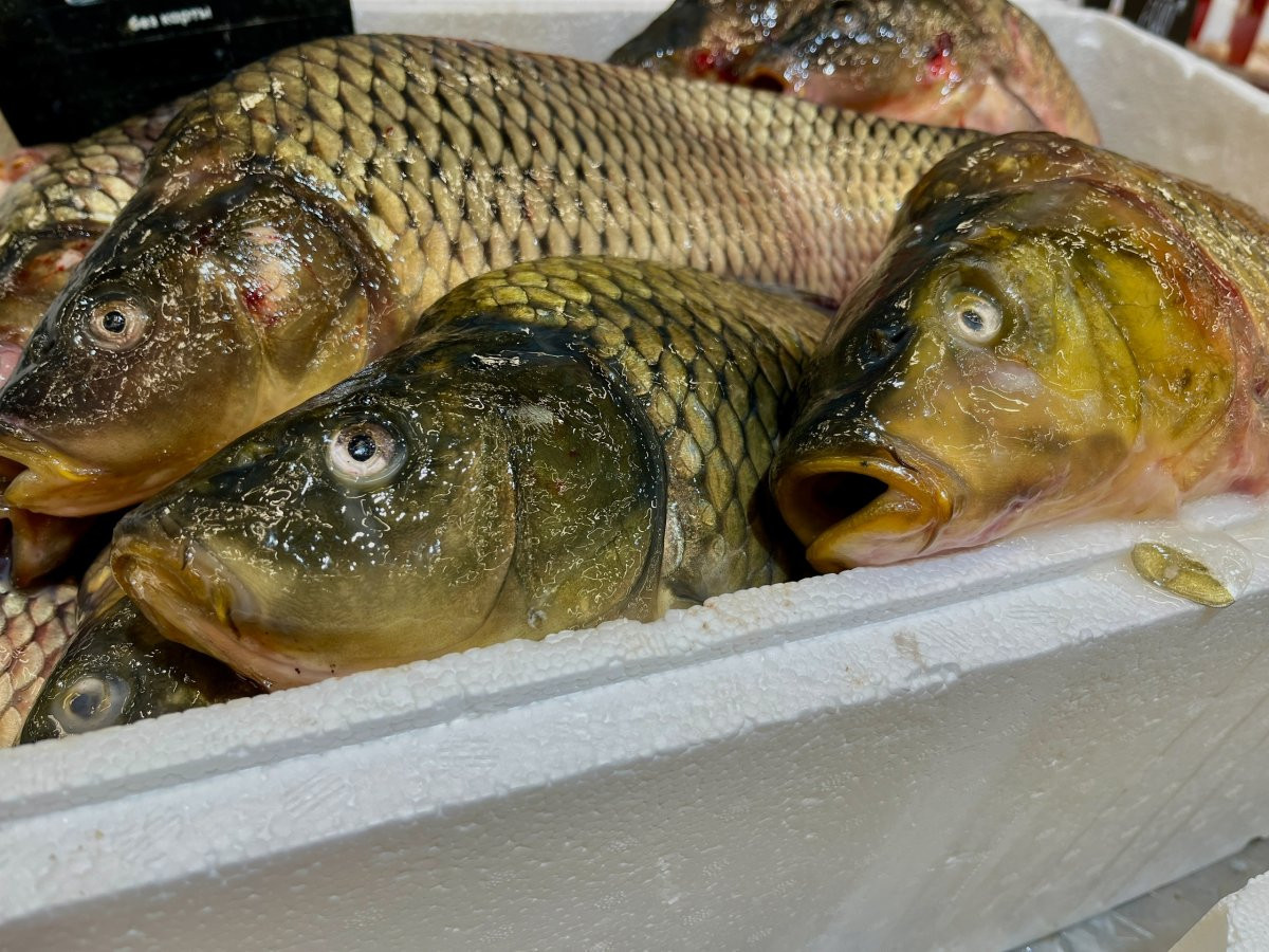 Рыба в холодильнике