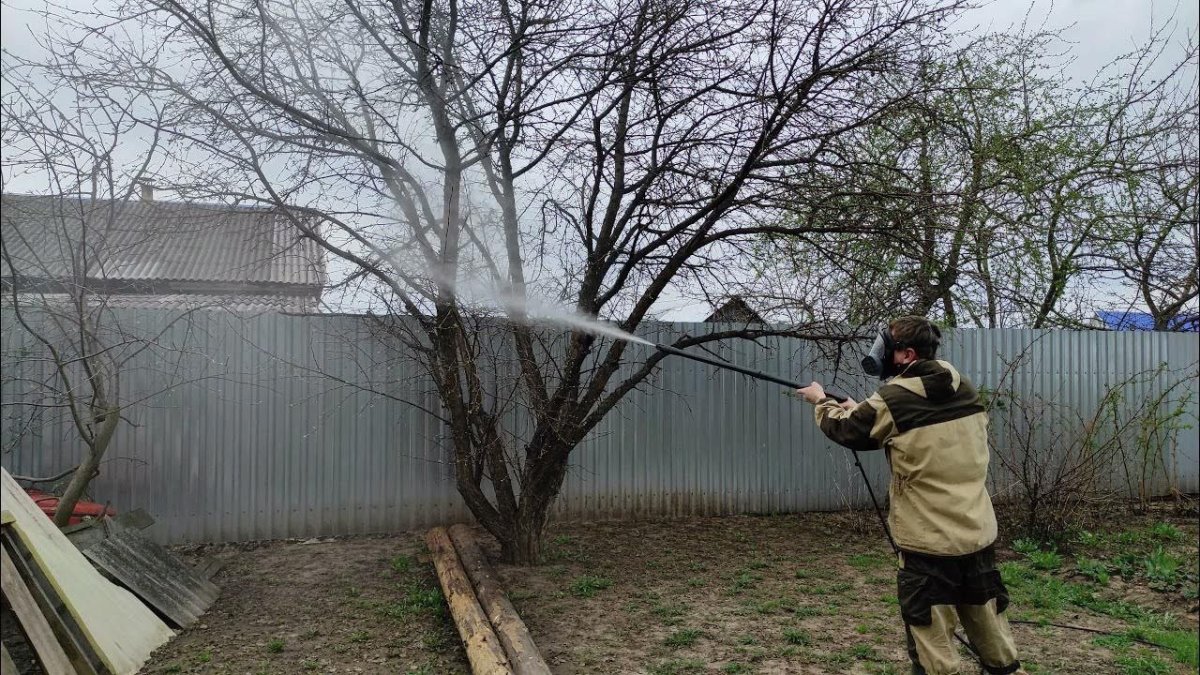 мужчина в защитной одежде опрыскивает деревья