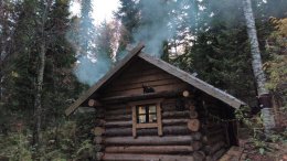 бревенчатая изба в лесу