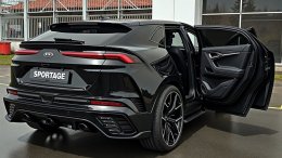 кроссовер Ria Sportage вид сзади