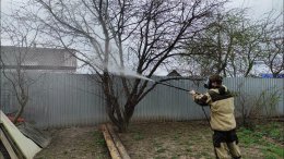 мужчина в защитной одежде опрыскивает деревья