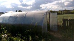 старая теплица