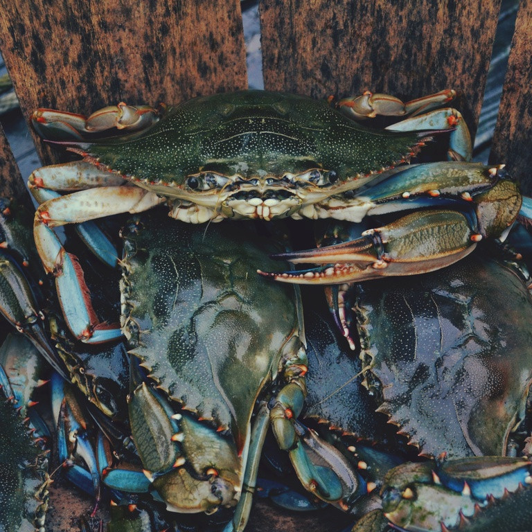 Краб