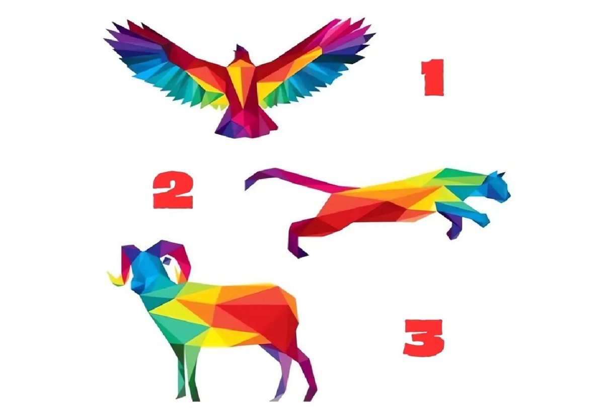 необычные рисунки животных