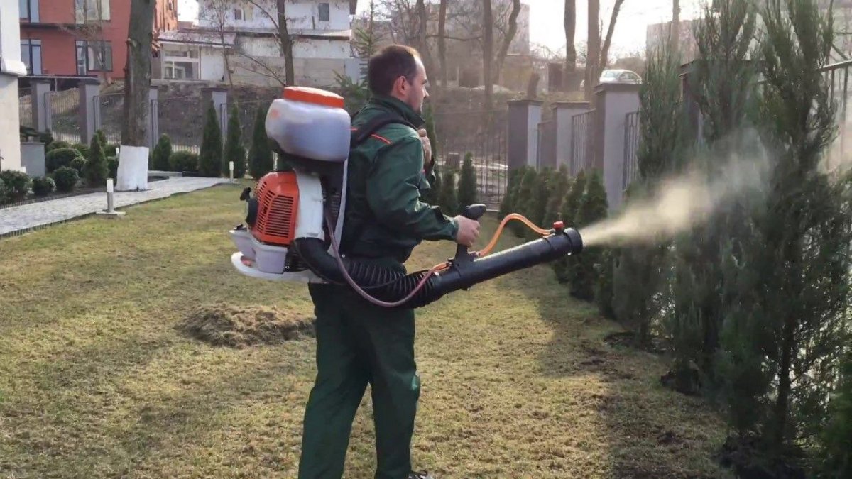 мужчина опрыскивает  сад ранцевого пульверизатора