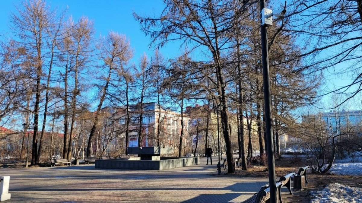 сквер весной в Мурманске