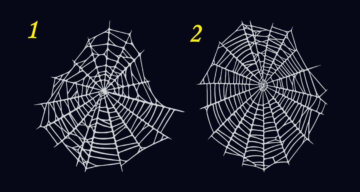 две паутины
