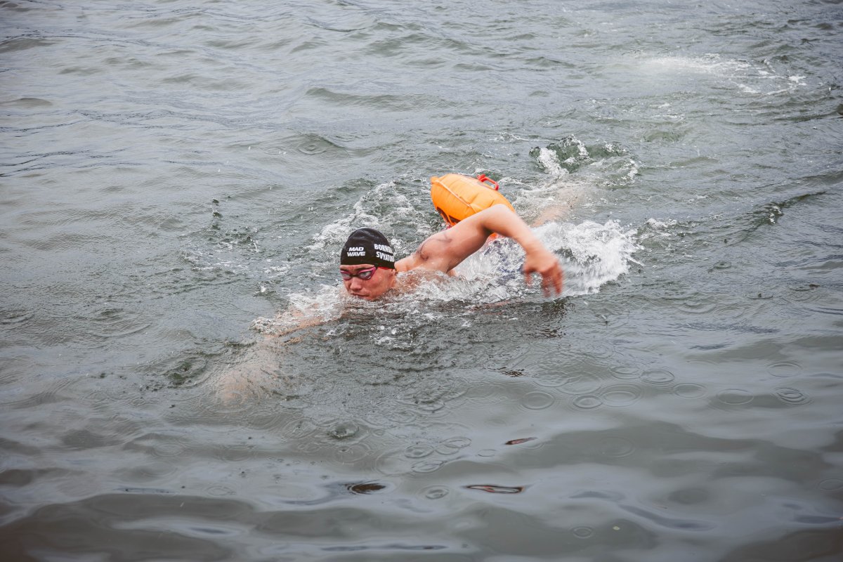 Пловец в Кольском заливе