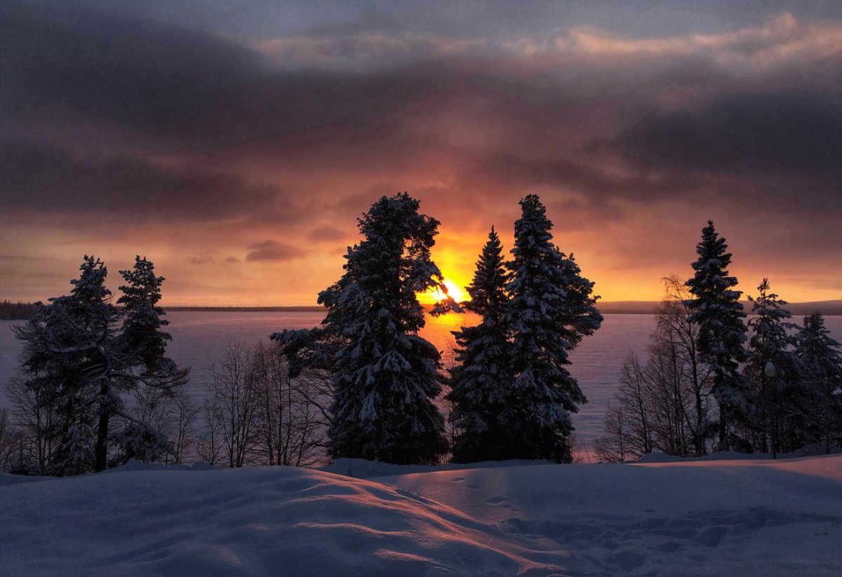 Лапландский заповедник