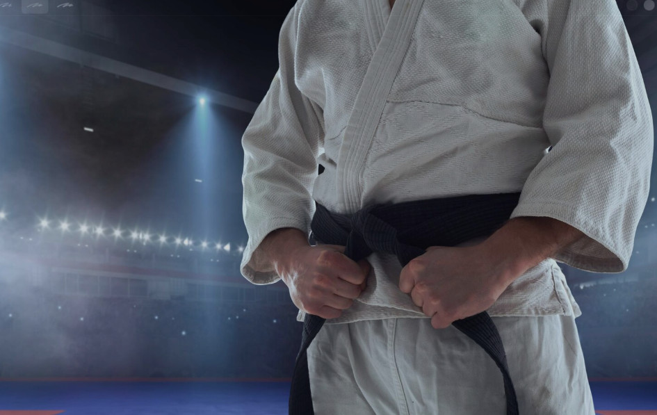 Дзюдоист