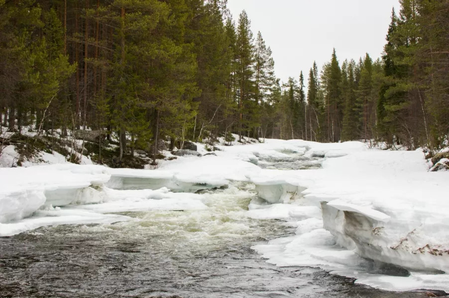 Наступление весны