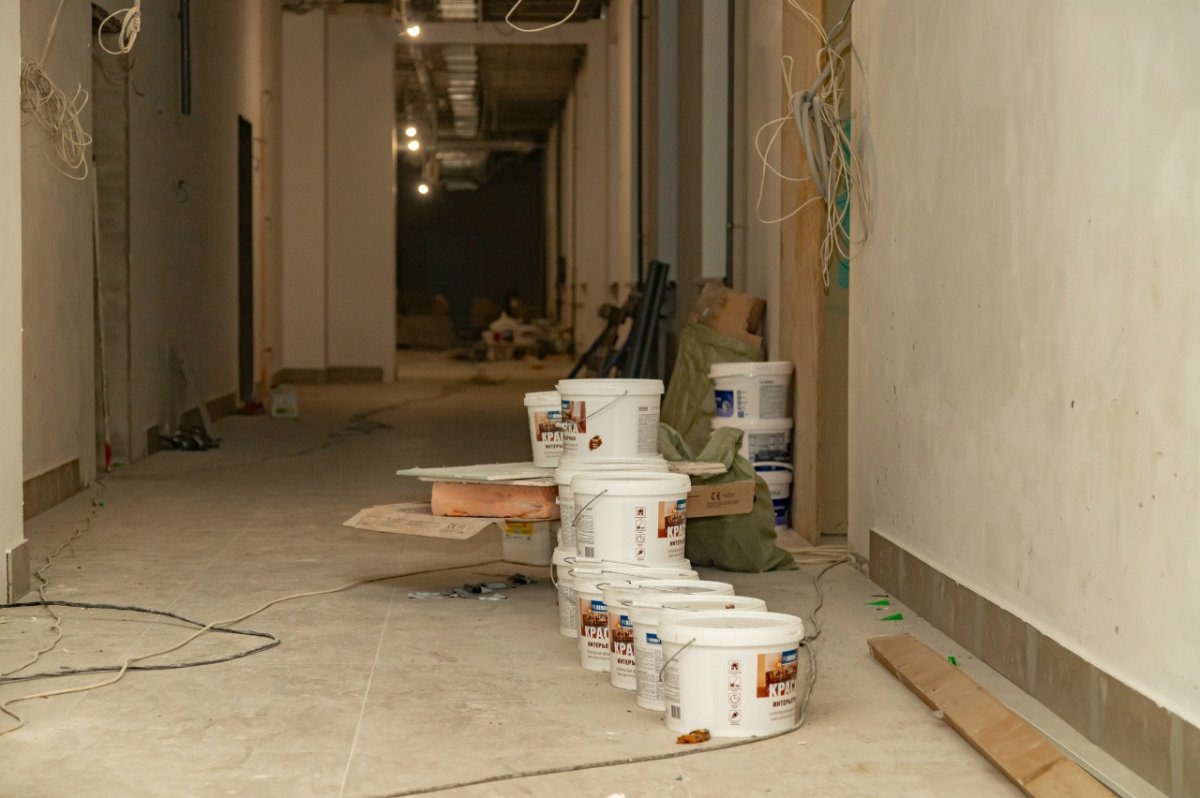 Краска и штукатурка.