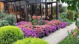 цветущий сад