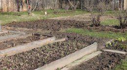 огород весной