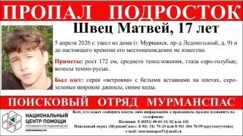 Ориентировка на пропавшего подростка