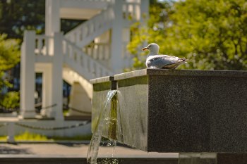 Плачущий фонтан на улице Ленинградской в Мурманске