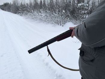 Ружьё для охоты