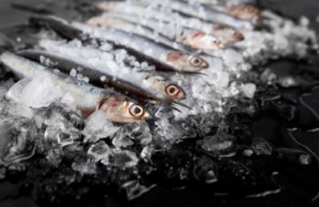 Замороженная рыба