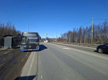 Рейсовый автобус №105 из Североморска.