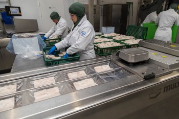 Рыбный цех в Мурманске