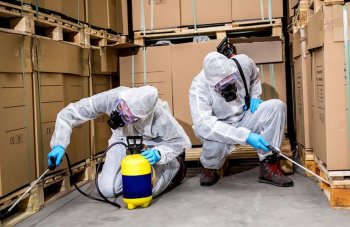 Дератизация