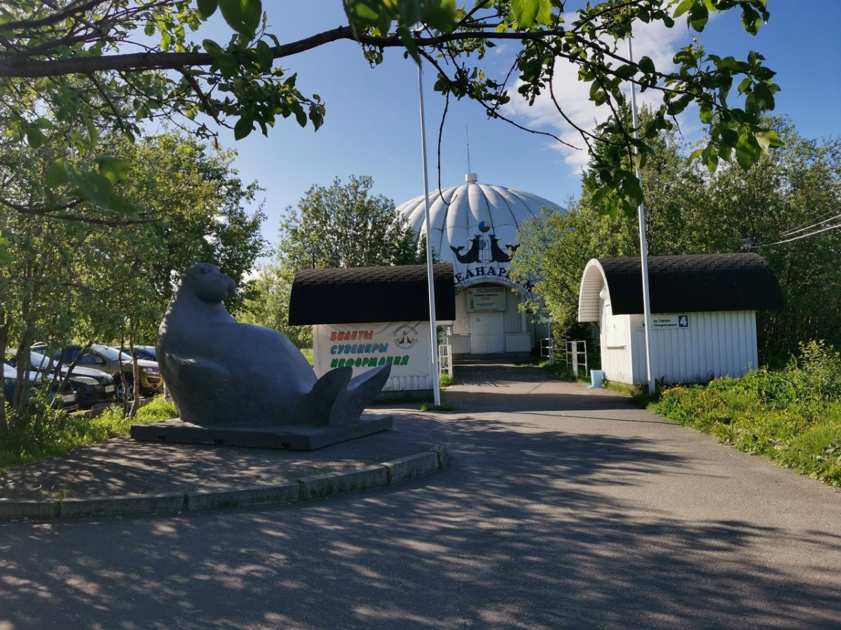 Мурманский океанариум.