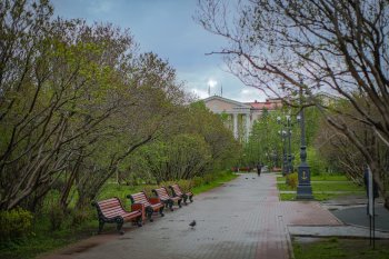 Сквер с деревьями и скамейками в пасмурную погоду.