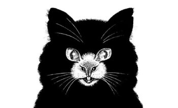 кот или мышь